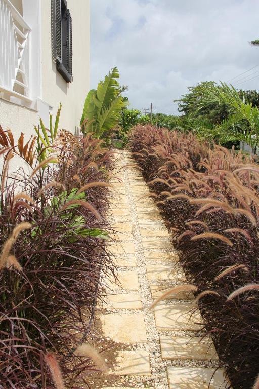 Lantana Resort Barbados By Island Villas 세인트 제임스 외부 사진
